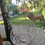 Villa Kalina *