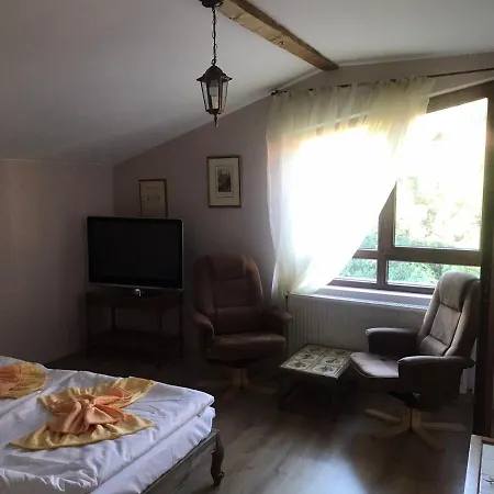 Villa Kalina Saparewa Banja